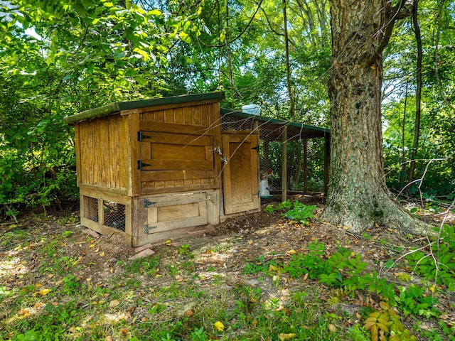 822 Osprey Dr, Morristown, TN 37814 - view of poultry coop