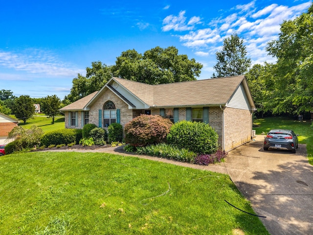 822 Osprey Dr, Morristown, TN 37814 - ranch-style home with brick siding, a front yard, driveway, and a shingled roof