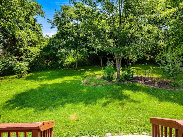 822 Osprey Dr, Morristown, TN 37814 - view of green lawn