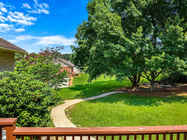 822 Osprey Dr, Morristown, TN 37814 - view of green lawn