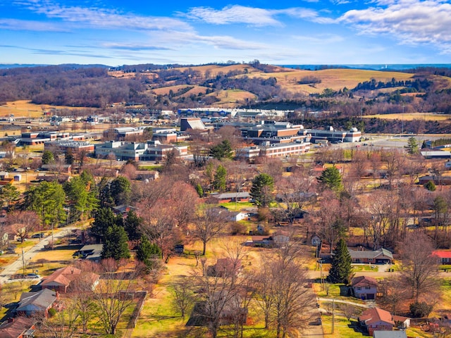 bird's eye view