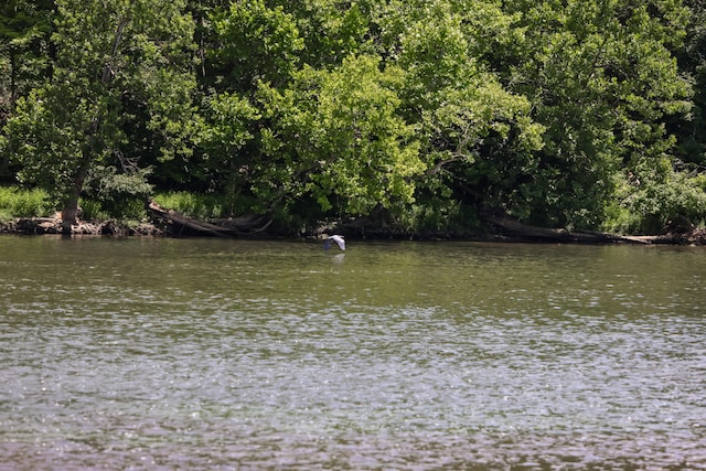 501 Williams Rd, Rogersville, TN 37857 - photo 16