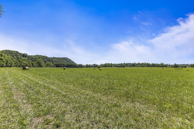 501 Williams Rd, Rogersville, TN 37857 - photo 7