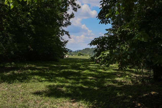 501 Williams Rd, Rogersville, TN 37857 - photo 24