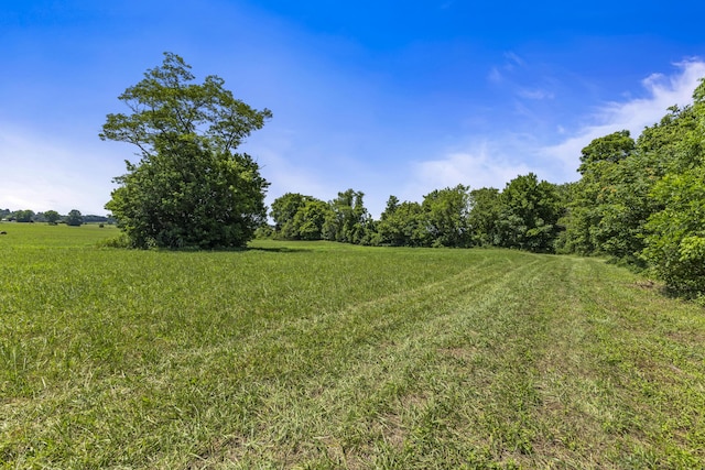 501 Williams Rd, Rogersville, TN 37857 - photo 6