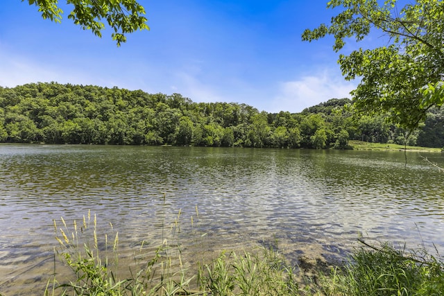 501 Williams Rd, Rogersville, TN 37857 - photo 18