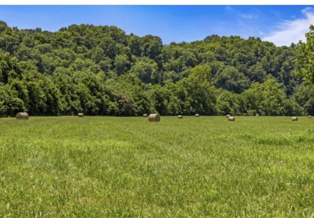 501 Williams Rd, Rogersville, TN 37857 - photo 8