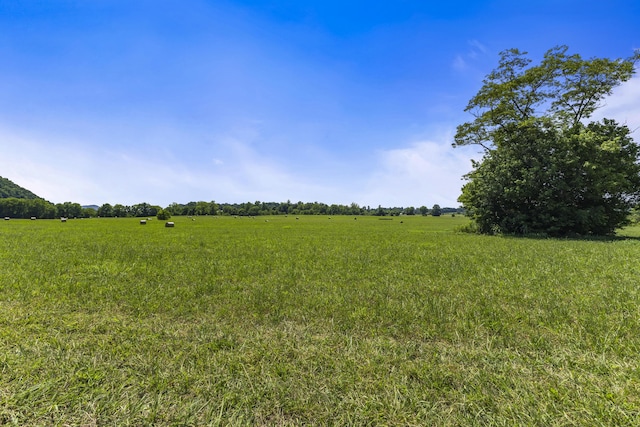 501 Williams Rd, Rogersville, TN 37857 - photo 10