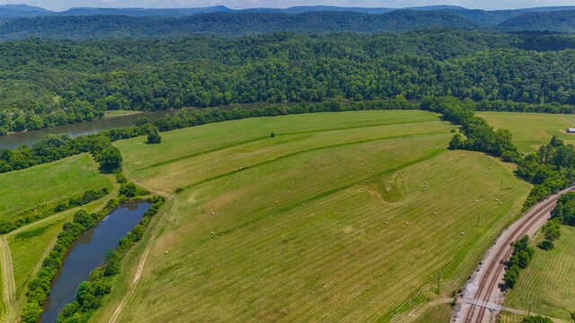 501 Williams Rd, Rogersville, TN 37857 - photo 9