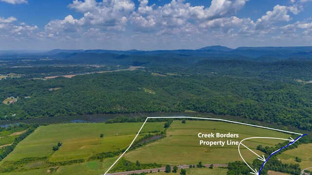 501 Williams Rd, Rogersville, TN 37857 - photo 23