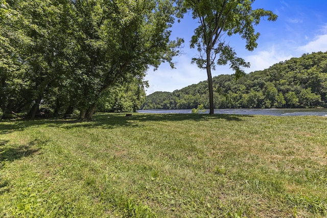 501 Williams Rd, Rogersville, TN 37857 - photo 4