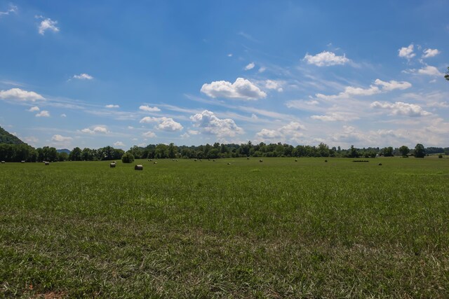 501 Williams Rd, Rogersville, TN 37857 - photo 21