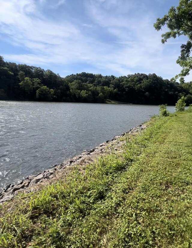 501 Williams Rd, Rogersville, TN 37857 - photo 3