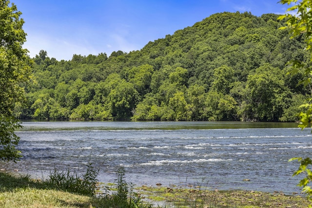 501 Williams Rd, Rogersville, TN 37857 - photo 2