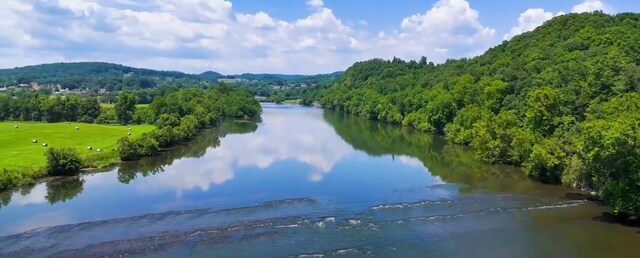 501 Williams Rd, Rogersville, TN 37857 - photo 14