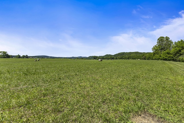 501 Williams Rd, Rogersville, TN 37857 - photo 19
