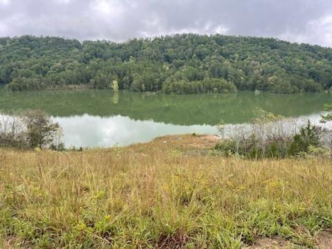 0 Bay View Pt, Sevierville, TN 37876 - photo 3