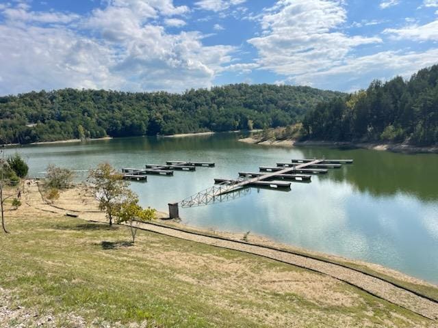 0 Bay View Pt, Sevierville, TN 37876 - photo 8