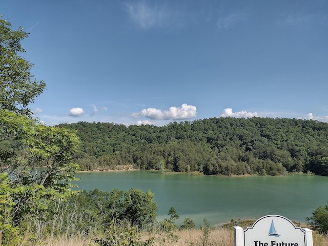 0 Bay View Pt, Sevierville, TN 37876 - photo 2
