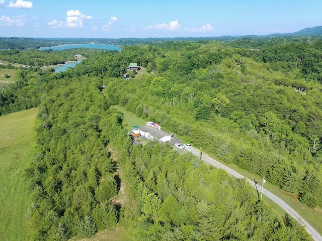2124 Rainwater Rd, Dandridge, TN 37725 - photo 10