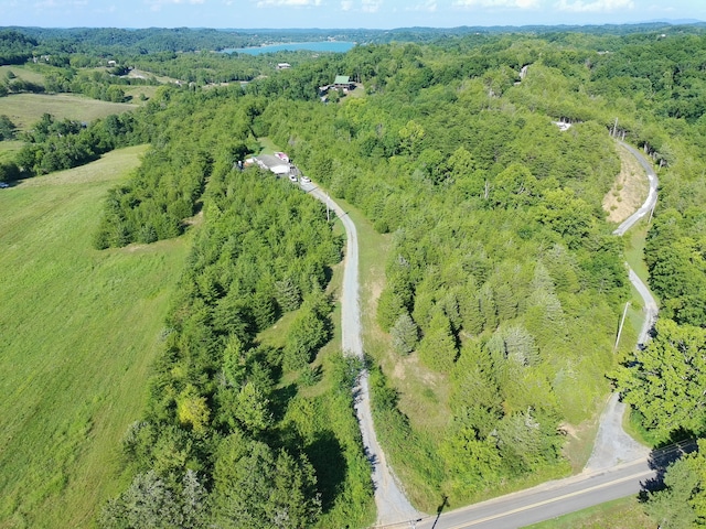 2124 Rainwater Rd, Dandridge, TN 37725 - photo 2