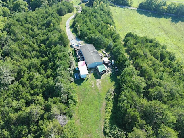 2124 Rainwater Rd, Dandridge, TN 37725 - photo 9