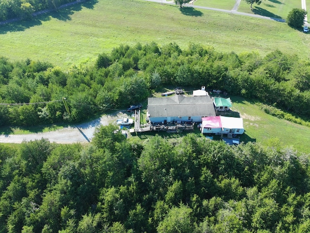 2124 Rainwater Rd, Dandridge, TN 37725 - photo 5
