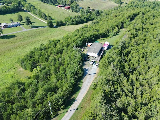 2124 Rainwater Rd, Dandridge, TN 37725 - photo 11