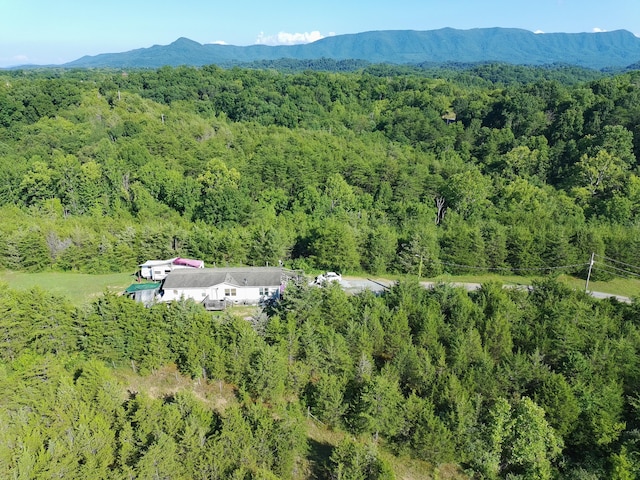 2124 Rainwater Rd, Dandridge, TN 37725 - photo 1