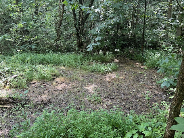 2124 Rainwater Rd, Dandridge, TN 37725 - photo 25