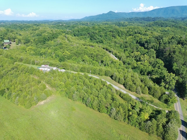 2124 Rainwater Rd, Dandridge, TN 37725 - photo 4