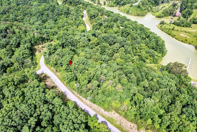LOT111 Tranquility Trl, Dandridge, TN 37725 - photo 7