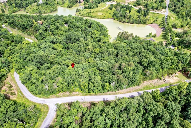 LOT111 Tranquility Trl, Dandridge, TN 37725 - photo 6
