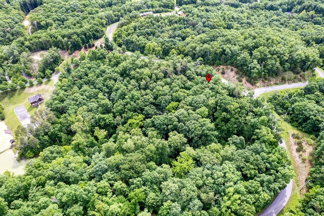 LOT111 Tranquility Trl, Dandridge, TN 37725 - photo 11
