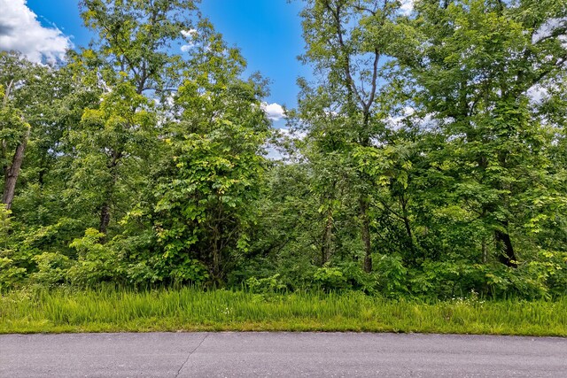 LOT111 Tranquility Trl, Dandridge, TN 37725 - photo 27