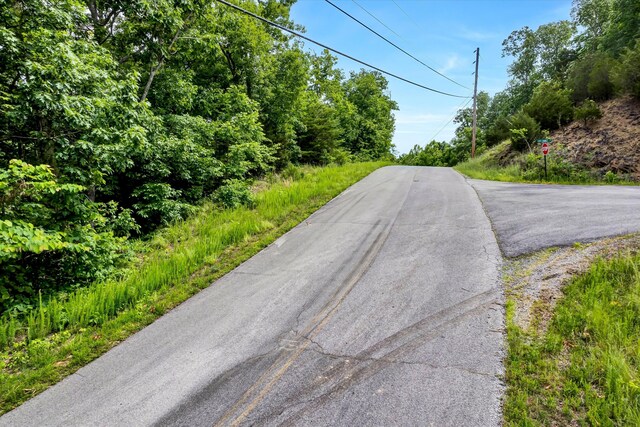 LOT111 Tranquility Trl, Dandridge, TN 37725 - photo 3