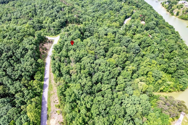 LOT111 Tranquility Trl, Dandridge, TN 37725 - photo 8