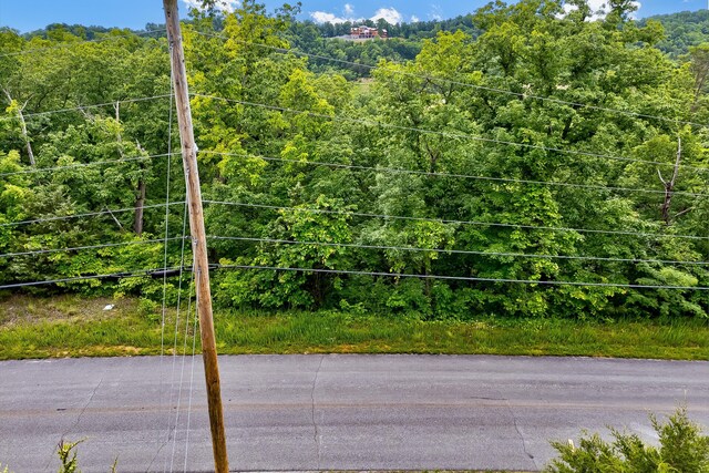 LOT111 Tranquility Trl, Dandridge, TN 37725 - photo 26