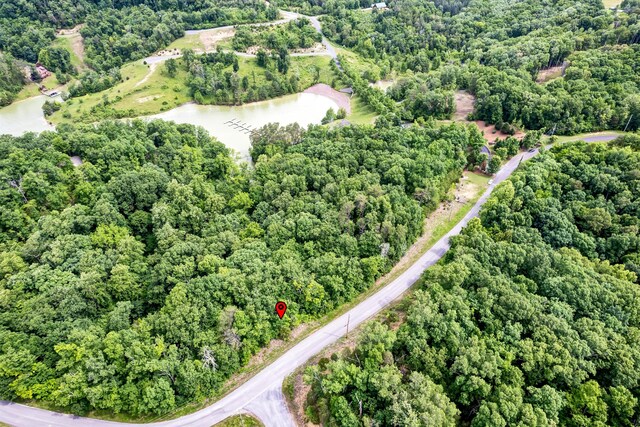 LOT111 Tranquility Trl, Dandridge, TN 37725 - photo 13