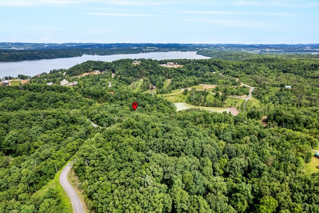 LOT111 Tranquility Trl, Dandridge, TN 37725 - photo 20