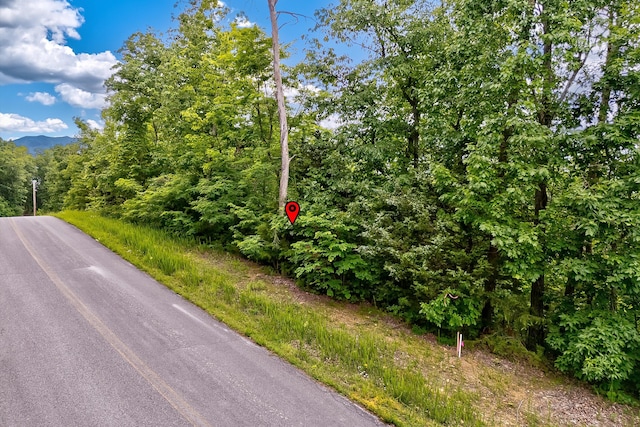 LOT111 Tranquility Trl, Dandridge, TN 37725 - photo 2