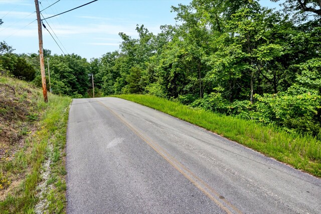 LOT111 Tranquility Trl, Dandridge, TN 37725 - photo 4