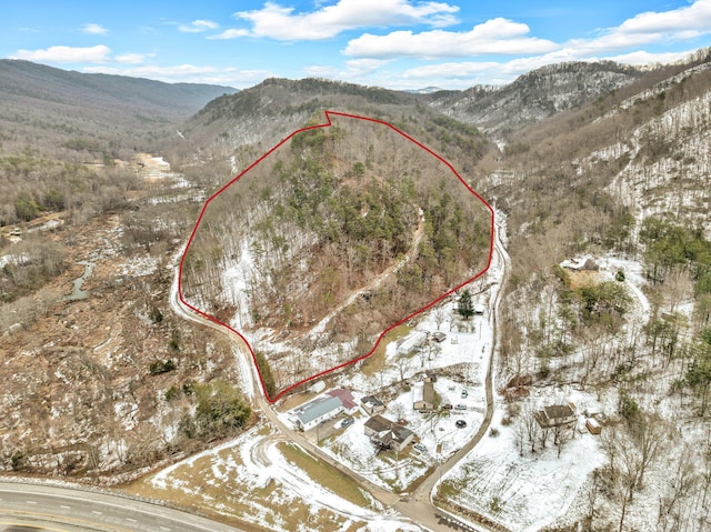 226 Briar Fork Rd, Bean Station TN, 37708 land for sale