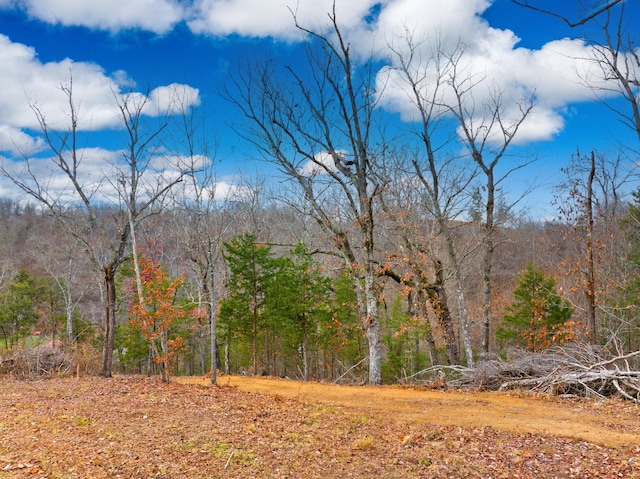 1556 Hollow Springs Rd Way, Baneberry, TN 37890