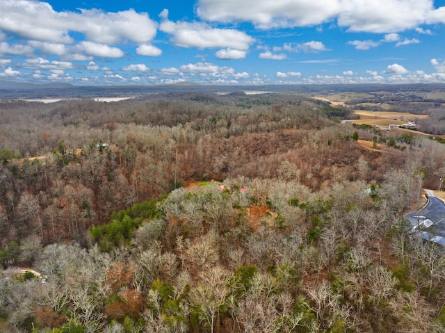 1556 Hollow Springs Rd Way, Baneberry, TN 37890