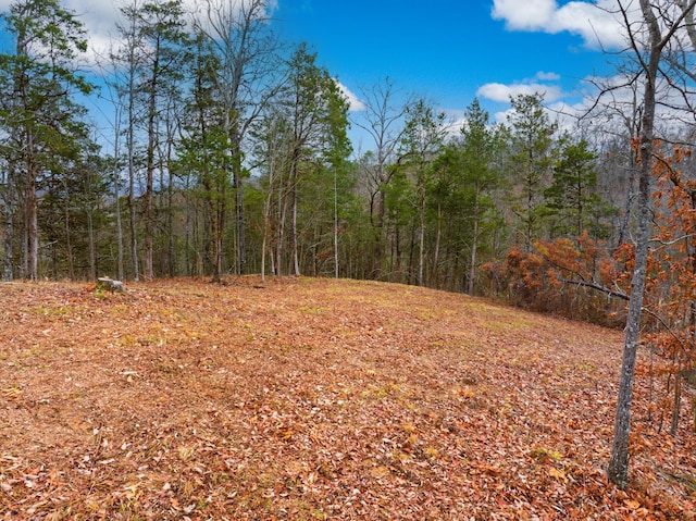 1556 Hollow Springs Rd Way, Baneberry, TN 37890