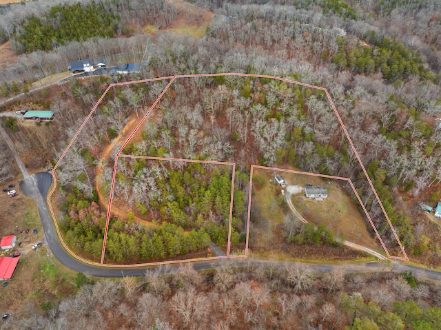 1556 Hollow Springs Rd Way, Baneberry, TN 37890