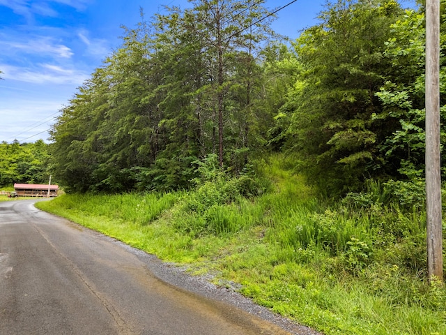 1556 Hollow Springs Rd Way, Baneberry, TN 37890