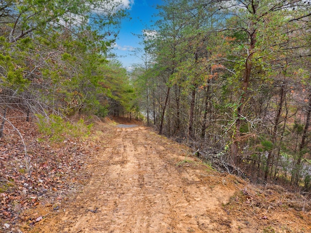1556 Hollow Springs Rd Way, Baneberry, TN 37890