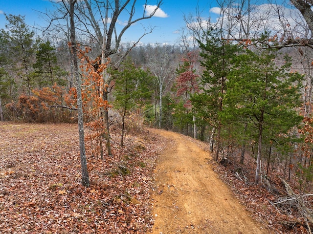 1556 Hollow Springs Rd Way, Baneberry, TN 37890